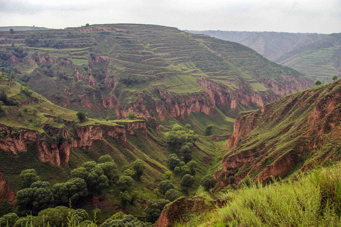Figure 3: Terraced loess landscape in Xifeng (China).