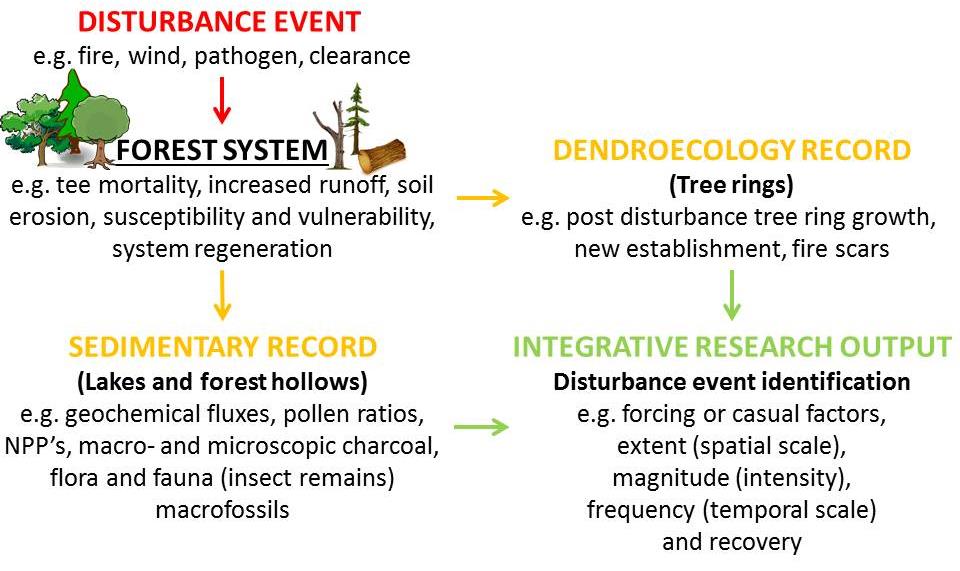 Figure 1: Conceptual model and framework of data integration of disturbance-affected forest systems, resulting natural archives and the benefits of integrative research.