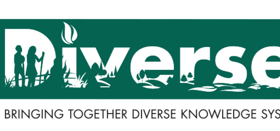 New DiverseK group launch