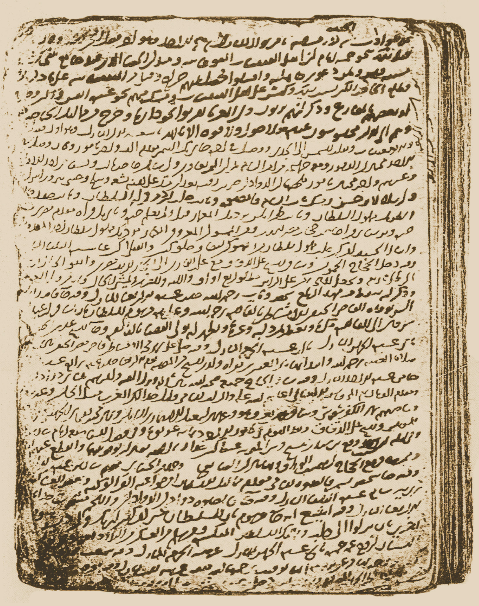 ibn_tawq_manuscript_fig1.jpg