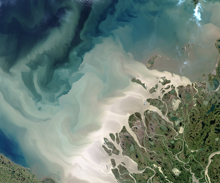 Fig. 2: Fresh water and sediment input to the Arctic Ocean are expected to increase with climate change. Image credit: Jesse Allen for NASA Earth Observatory.