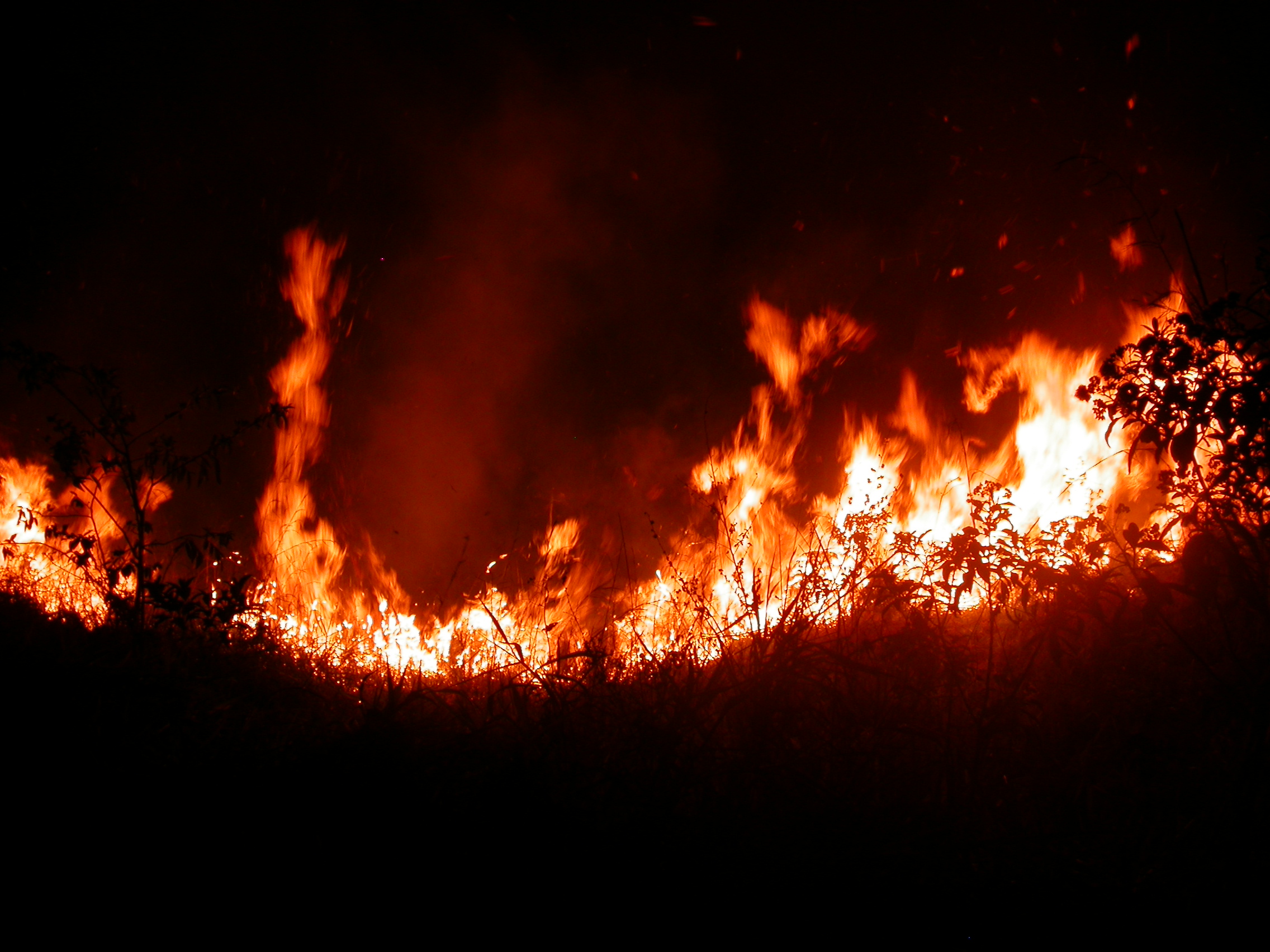 Figure 2: Burning in Guatemala in 2005 to clear the land for cattle pastures. Photo credit: Boris Vannière.