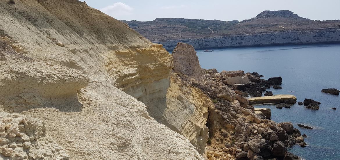 Ras il-Pellegrin outcrop Malta [Mid-Miocene (13.82 Ma)] from Ray Zammit