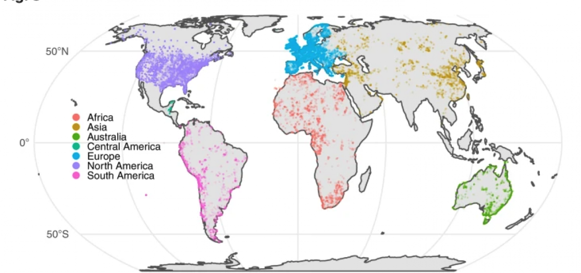 Global map showing locations of all radiocarbon records after the data cleaning process, color-coded by continent. Individual sites are translucent to illustrate site density.