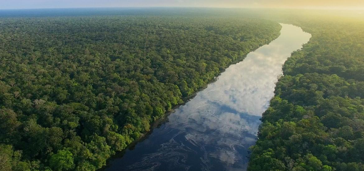 Amazon river
