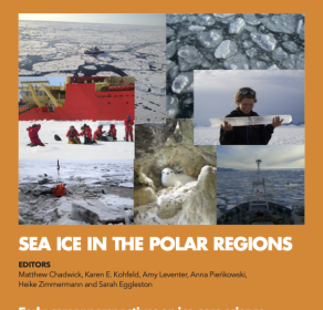 30 (2): Sea ice in the polar regions