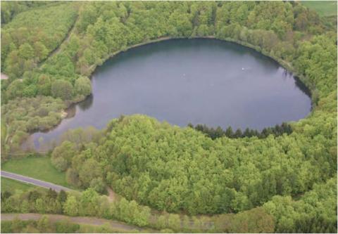 aerial photo of trees surrounding lake