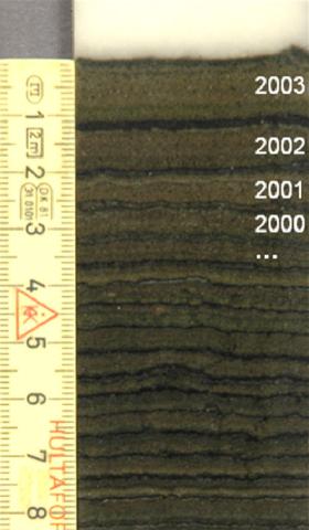 varves with upper year labeled