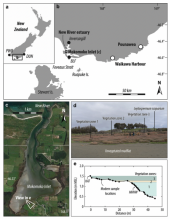 Location of the tidal marsh at Mokomoko Inlet. In panels a and b, tide-gauge station abbreviations are as follows: PWB: Puysegur Welcome Bay, DUN: Dunedin, BLF: Bluff. Panel b shows locations of Mokomoko Inlet (this study), Waikawa Harbour (Figueira, 2012; Figueira and Hayward, 2014), and Pounawea (Southall et al., 2006; Gehrels et al., 2008). Aerial photo of Mokomoko Inlet in panel c is from Bing Maps (https://www.bing.com/maps, image copyright DigitalGlobe, 2020). Panels d and e show the topography and ve