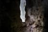 Makkaroni Stalactite or speleothem hanging from the ceiling