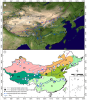 Gridded pollen-based Holocene regional plant cover in temperate and northern subtropical China suitable for climate modelling